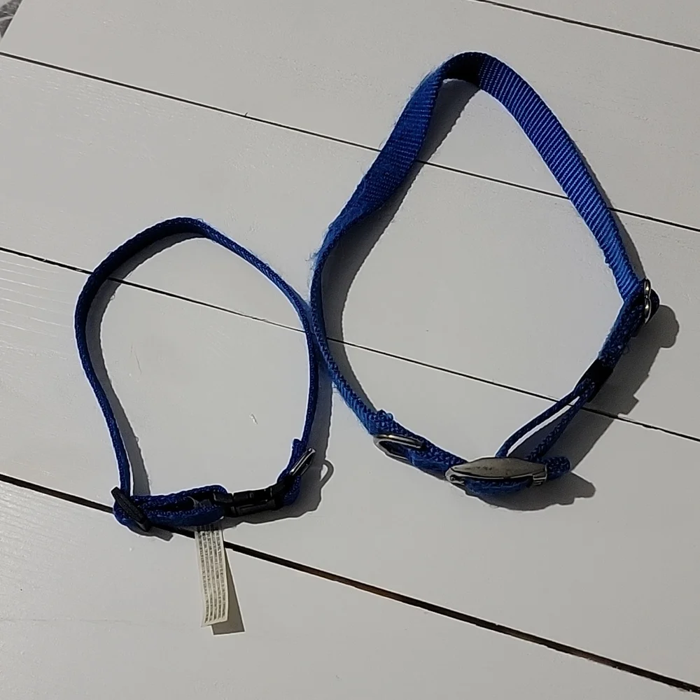 Two blue dog collars